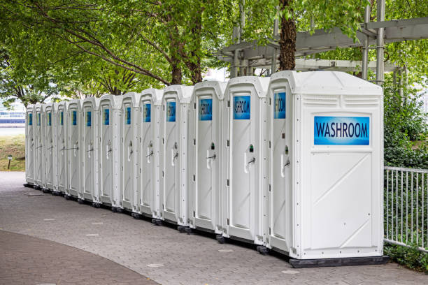 Best Portable bathroom rental  in Williams, AZ