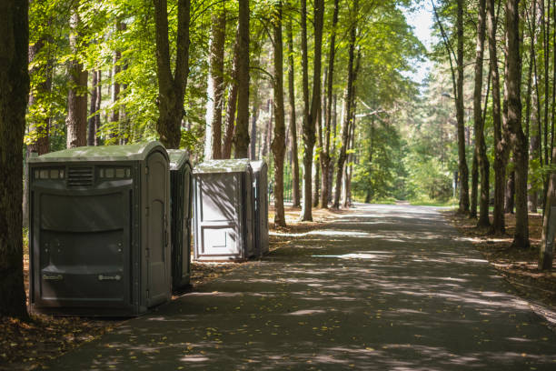 Best Wedding porta potty rental  in Williams, AZ